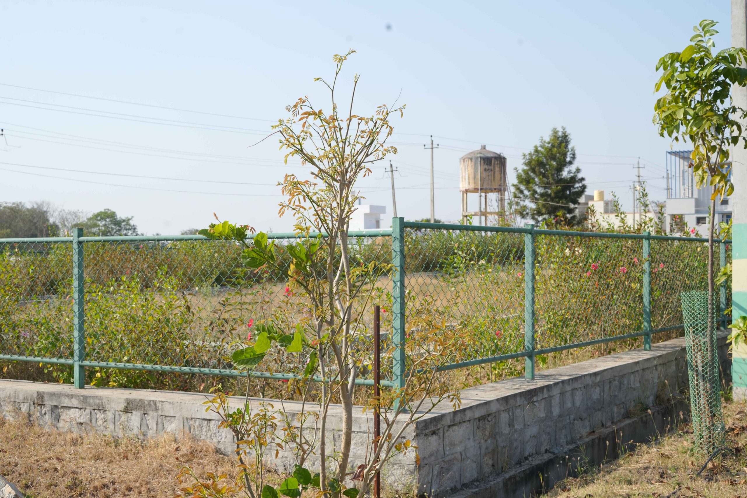 Shivom Layout (10)