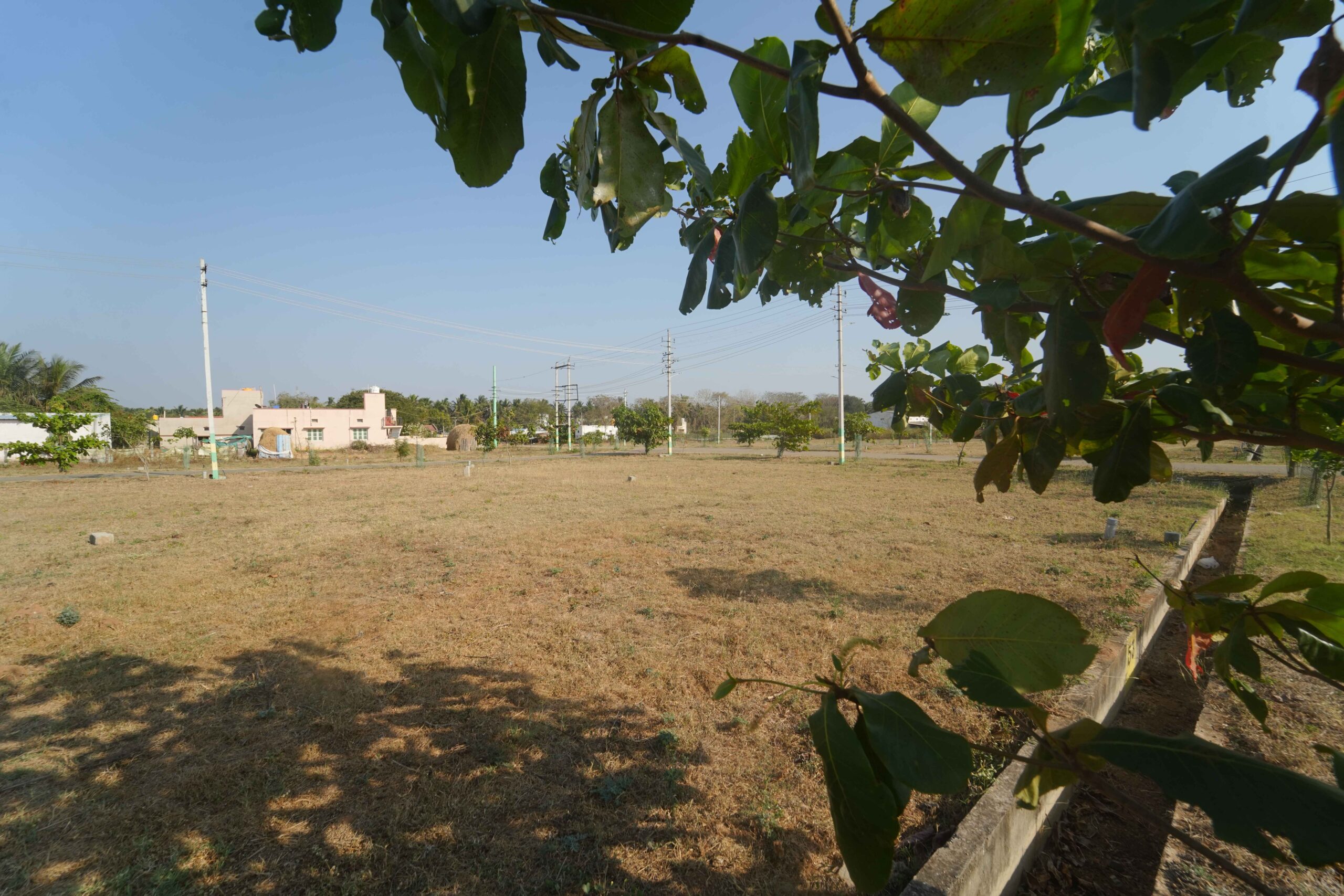 Shivom Layout (14)